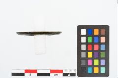 Foto von Bronzering (NHMW-PRAE-025607)